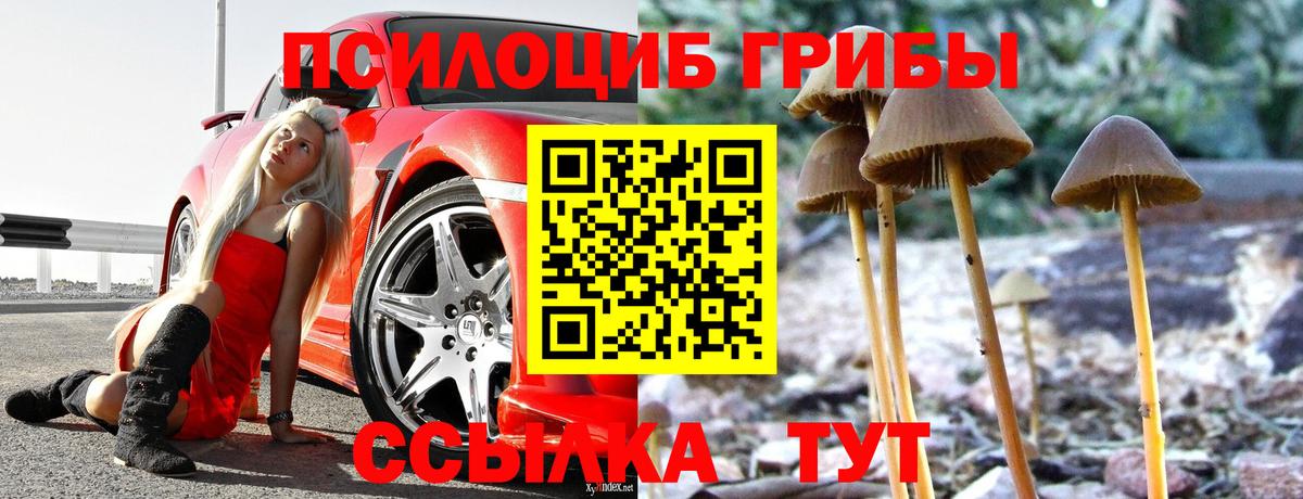Галлюциногенные грибы ЛСД  Вход с VPN  Шатура 