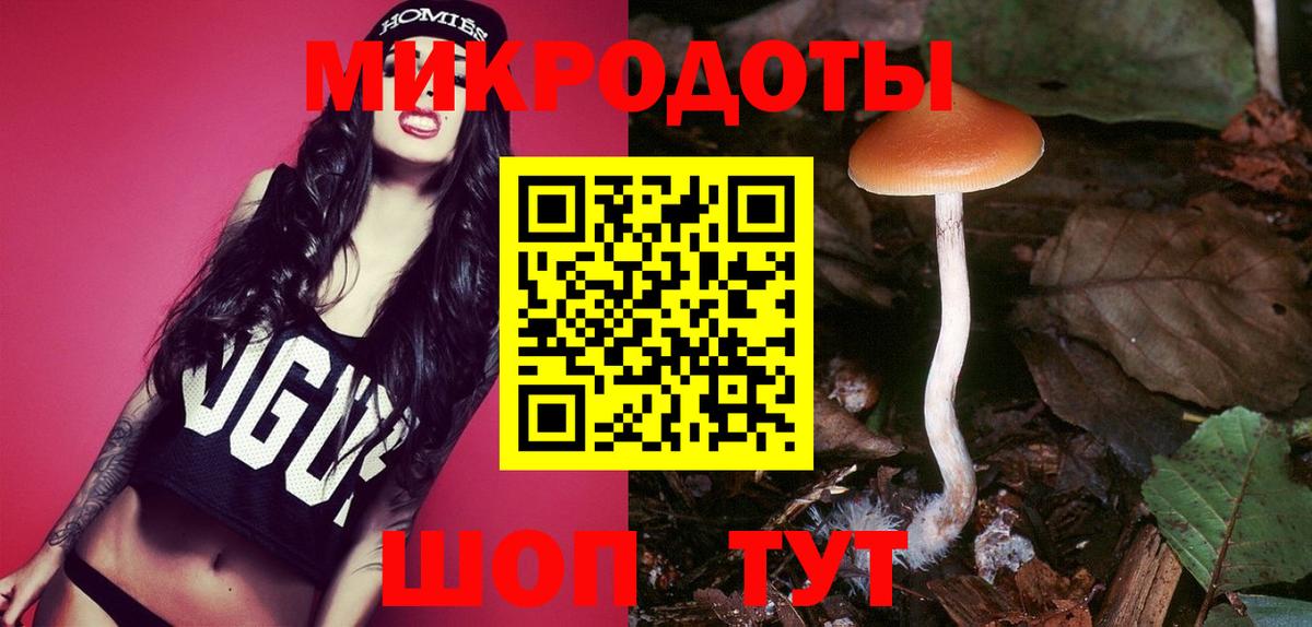Галлюциногенные грибы мухоморы Шатура